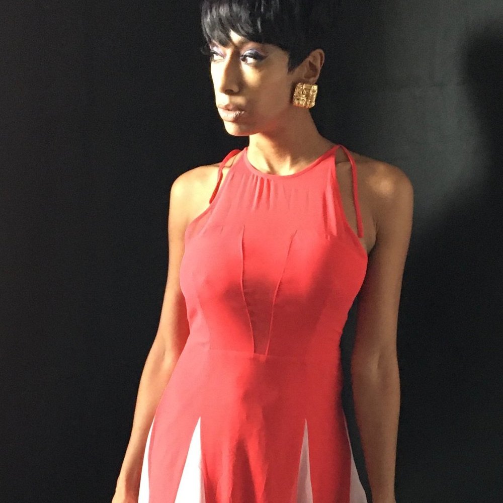 Express Dress - Picture 4 of 4